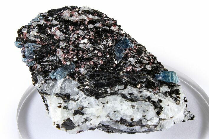 Fluorescent Kyanite & Garnet in Biotite-Quartz Schist - Russia #380670